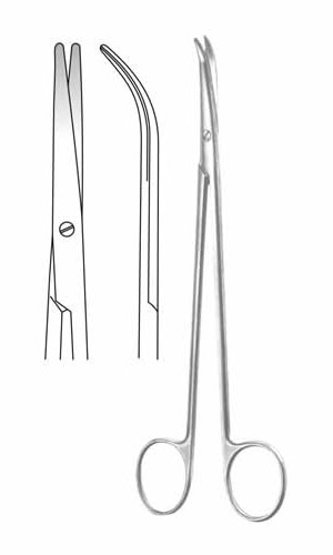 Dissecting Scissors